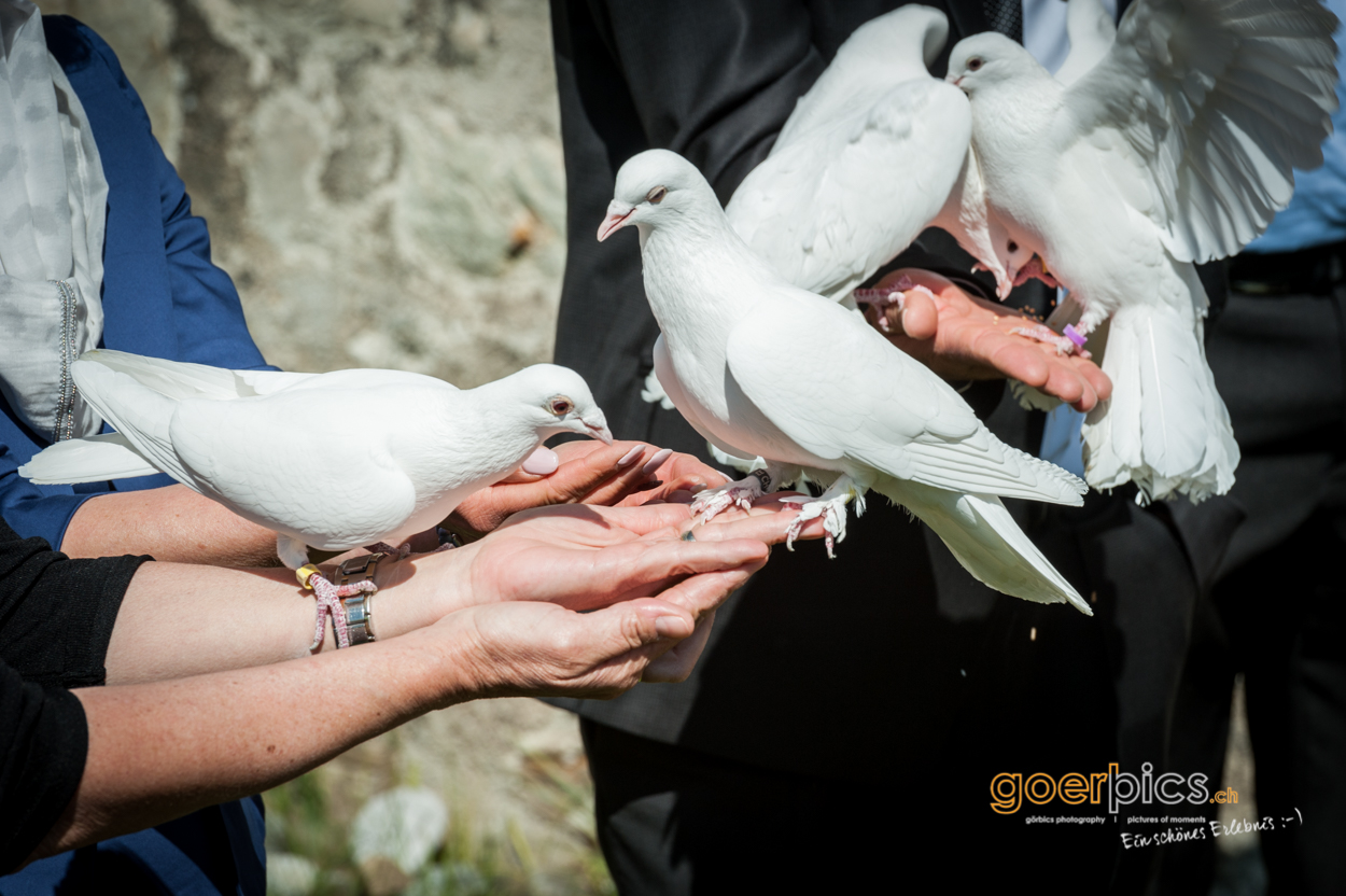 Hochzeit in Wiesendangen gallery